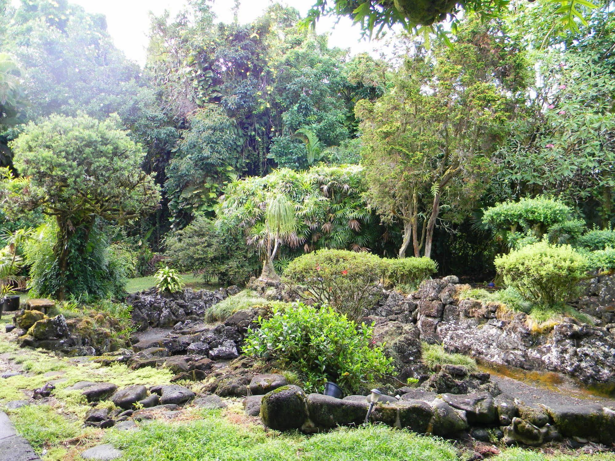 Maureen'S Bed And Breakfast ฮิโล ภายนอก รูปภาพ