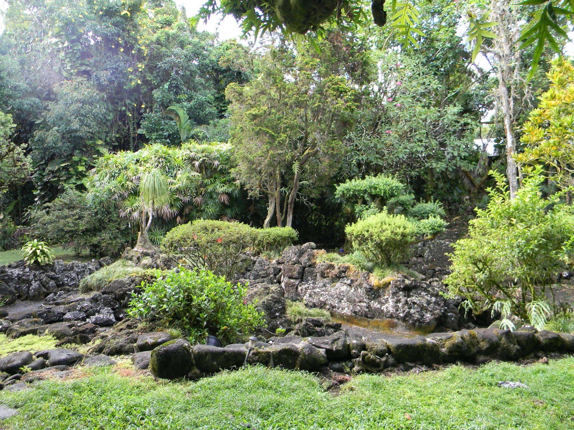 Maureen'S Bed And Breakfast ฮิโล ภายนอก รูปภาพ